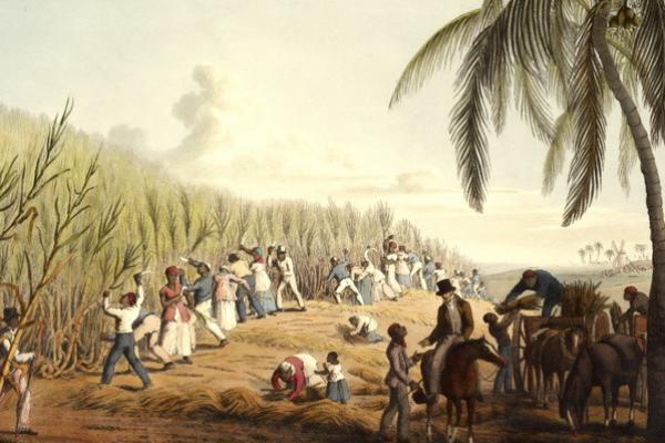 23 Agustus Hari Internasional Mengingat Perdagangan Budak dan Penghapusannya