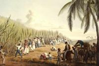 23 Agustus Hari Internasional Mengingat Perdagangan Budak dan Penghapusannya