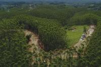 CSIS:  IKN Akan Menjadi Proyek yang Too Big To Fail 