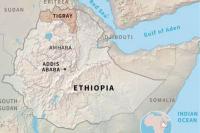 Diyakini sebagai Migran Ethiopia, 27 Pria Ditemukan Tewas Sepanjang Jalan di Zambia