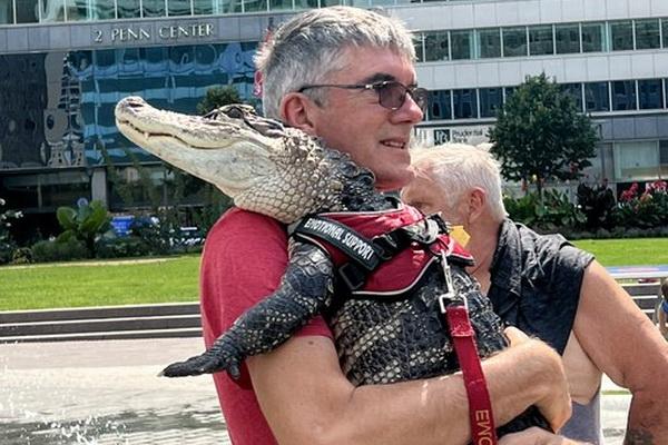 Wally Buaya Jinak yang Jadi Favorit Pengunjung Taman LOVE di Philadelphia