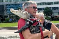 Wally Buaya Jinak yang Jadi Favorit Pengunjung Taman LOVE di Philadelphia