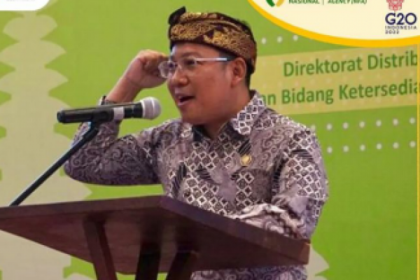 NFA Ungkap Arti Penting Penguatan Cadangan Pangan Nasional