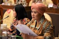 DPR Minta Pemerintah Hormati Akar Sejarah Pulau Rempang