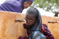 PBB: Lebih dari 700 Anak Meninggal di Pusat-pusat Nutrisi Somalia