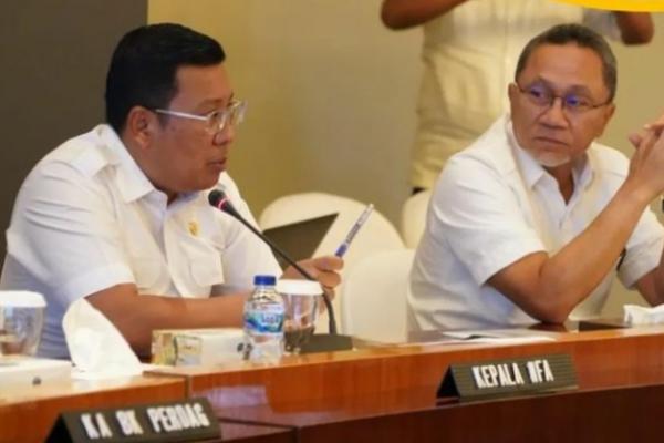 Jaga Stabilitas Harga, NFA Serap Ayam Hidup Langsung dari Peternak