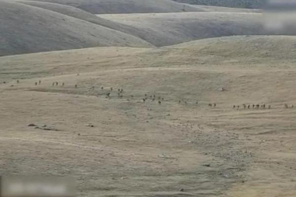 Bentrokan Baru Armenia-Azerbaijan Meletus Lagi setelah 100 Tentara Tewas