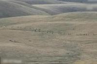 Bentrokan Baru Armenia-Azerbaijan Meletus Lagi setelah 100 Tentara Tewas