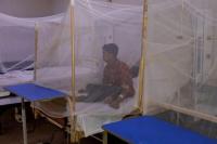 Wabah Malaria Merajalela di Pengungsian Banjir Pakistan, 324 Tewas