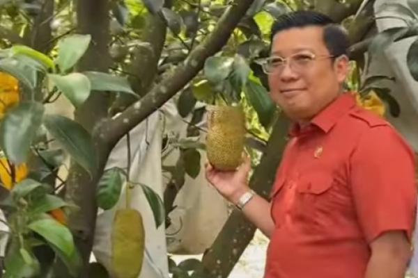 Jaga Penurunan Inflasi Pangan, NFA Minta Pemda Lakukan Ini