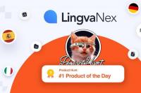 Rekomendasi 5 Aplikasi Translate Inggris-Indonesia Terbaik, Akurat, dan Praktis!