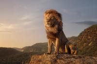 Sutradara Barry Jenkins Janjikan Prekuel The Lion King akan Memiliki Musik yang Indah