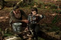 Review Film The Quiet Girl, Drama Kedewasaan Irlandia yang akan Bikin Kita Menangis