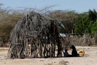 Kenya Utara Hadapi Krisis Kelaparan karena Kekeringan Musnahkan Ternak