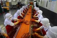 Atasi Krisis Kimchi, Korea Selatan Siapkan Gudang Kubis Besar