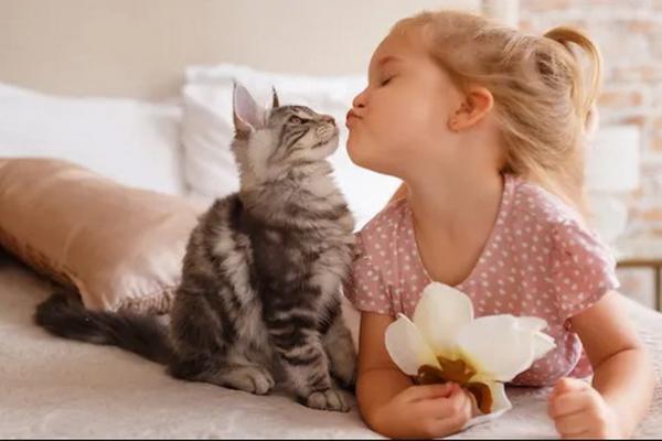 4 Oktober Hari Hewan Sedunia, Peduli Kesejahteraan Hewan di Sekitar Kita