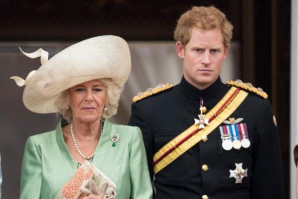 Jadi Permaisuri, Bagaimana Sesungguhnya Hubungan Camilla dengan William dan Harry?