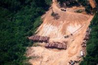 Tingkat Deforestasi September Terburuk di Amazon