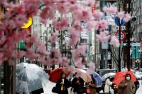 Mulai Besok Jepang Buka Kembali untuk Turis, Hotel Masih Kekurangan Pekerja