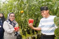 Tinjau Smart Farming P4S Lembang Agri, Kementan: Satu Kata, Keren
