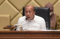 Wakil Ketua DPR Saan Mustopa. Foto: dpr
