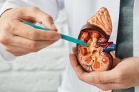 Waspada! Ini Lima Kebiasaan Buruk Pemicu Gagal Ginjal