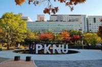 PKNU Korea Selatan Akan Beri Gelar Doktor Honoris Causa untuk Puan