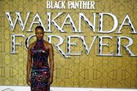 Bintang Black Panther Sebut Film Mengubah Persepsi Tentang Afrika