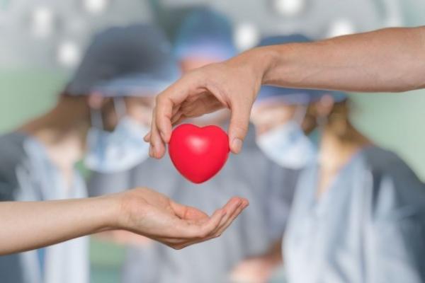 Mau Jadi Pendonor Jantung? Penuhi Dulu Syaratnya