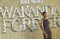 Kapan Film Black Panther: Wakanda Forever Tayang di Disney+?