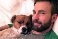 Chris Evans `Sexiest Man Alive`Bikin Tato Dodger, Nama Anjing Kesayangannya