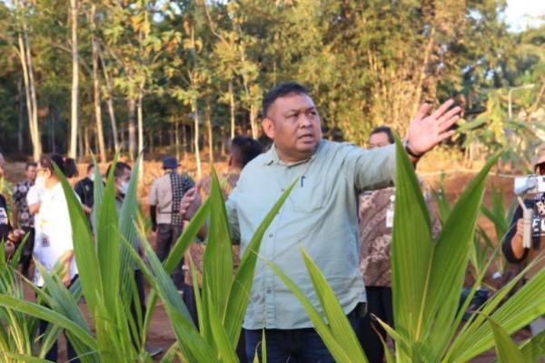 Kementan Optimalkan Lahan Tak Produktif Akselerasi Pengembangan Kelapa Genjah