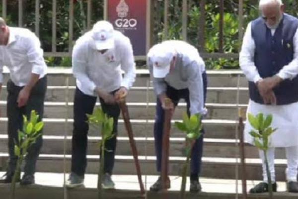 G20 Side Event, Pemimpin Dunia `Nyangkul` Bareng di Tahura Bali