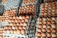 NFA Minta Peternak dan Pedagang Telur Tetapkan Harga Sesuai HAP
