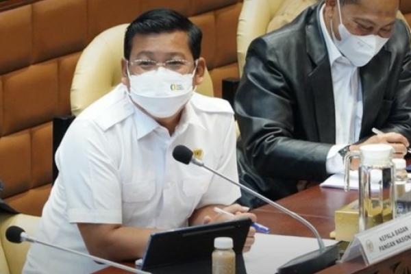Menipis, NFA Sebut Stok Beras Bulog Berpotensi Berada di Level 300 Ribu Ton
