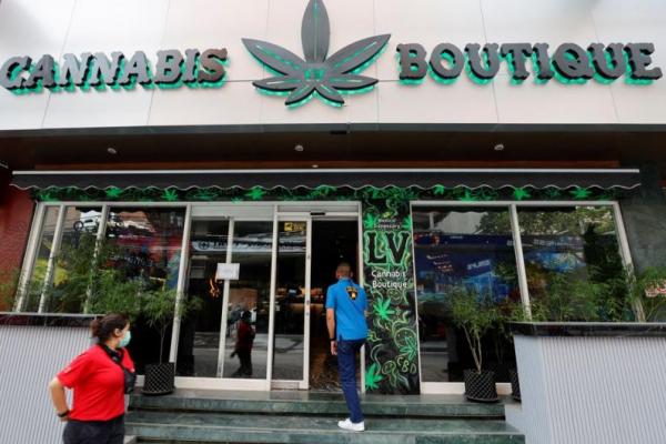 Legalisasi Ganja Thailand Mengecewakan, Warga Anggap Dijadikan Permainan Politik