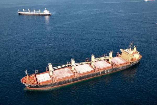 Sekjen PBB Umumkan Kesepakatan Ekspor Gandum Laut Hitam Diperpanjang