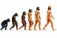 24 November Hari Evolusi, Teori Organisme Berubah Perlahan Lewat Proses Seleksi Alam