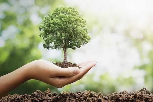 Kegiatan Sederhana yang Bisa Dilakukan untuk Memperingati Hari Bumi