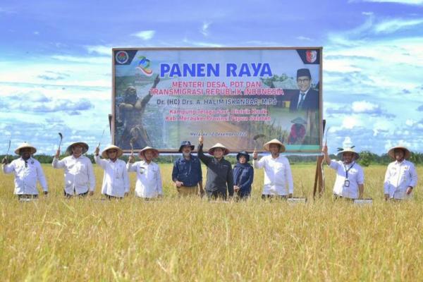 Gus Halim Panen Raya Varietas Padi yang Efektif Cegah Stunting