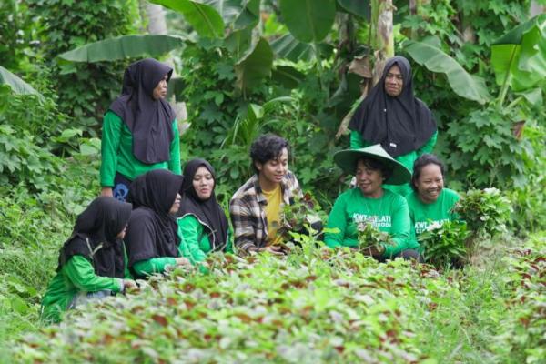 Kabupaten Kolaka Berhasil Manfaatan Lahan Pekarangan untuk Pemenuhan Gizi   