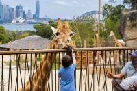 27 Desember Hari Kunjungan ke Kebun Binatang, Tempat Penelitian dan Konservasi Spesies