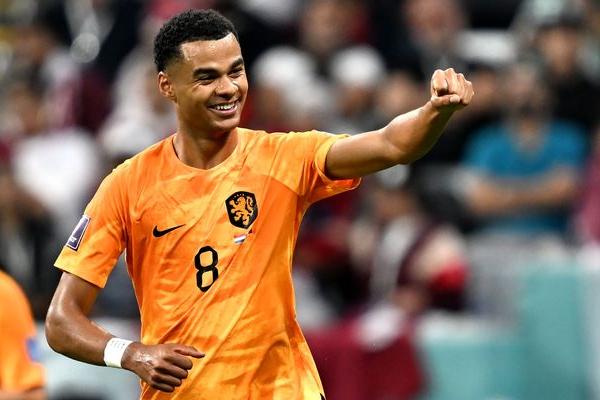Cody Gakpo Ternyata Hampir Gabung Manchester United