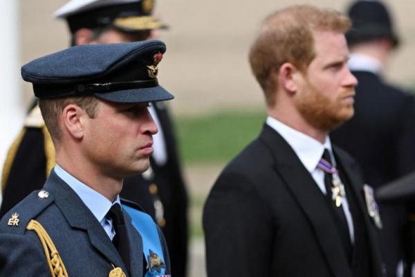 Sebut William Membantingnya ke Lantai, Buku Pangeran Harry Heboh Dibahas