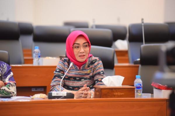 Rawan Penyelundupan Senjata, Anggota Komisi III Minta Awasi Ketat Perbatasan Filipina