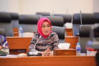 Rawan Penyelundupan Senjata, Anggota Komisi III Minta Awasi Ketat Perbatasan Filipina