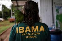 Di Bawah Lula, Brasil Luncurkan Anti-Deforestasi Pertama untuk Lindungi Amazon