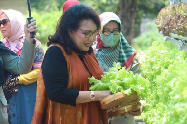 Ketua Bidang V Oase-KIM Dorong Masyarakat Manfaatkan Pekarangan Rumah Sebagai Sumber Makanan Sehat