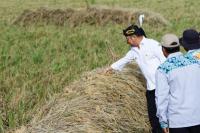 Panen Padi di Kabupaten Bekasi Melimpah, ini Pesan dan Harapan Petani