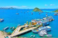 Semester I 2025, ASDP Raih Laba Bersih Rp298 Miliar